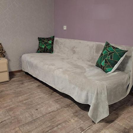 Apartment Sports Palace Просторная Квартира Рядом Дворец Спорта 哈尔科夫 外观 照片