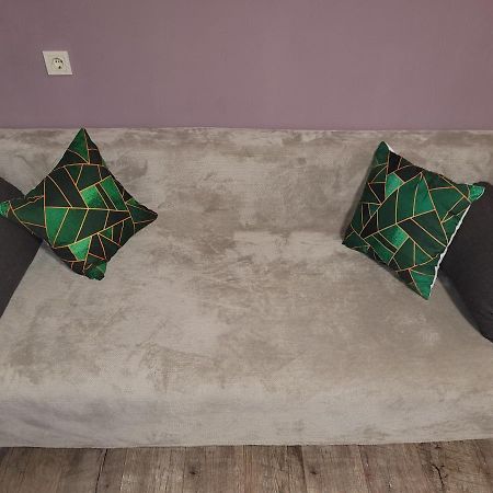 Apartment Sports Palace Просторная Квартира Рядом Дворец Спорта 哈尔科夫 外观 照片