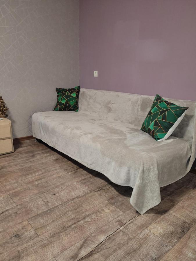 Apartment Sports Palace Просторная Квартира Рядом Дворец Спорта 哈尔科夫 外观 照片